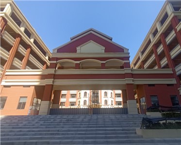 優化IP會議擴聲系統：解決回聲與噪音干擾，提升遠程會議體驗